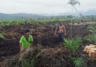 Mantan ASN Laporkan Oknum Anggota DPRD Tapteng Terkait Penyerobotan Lahan Perkebunan
