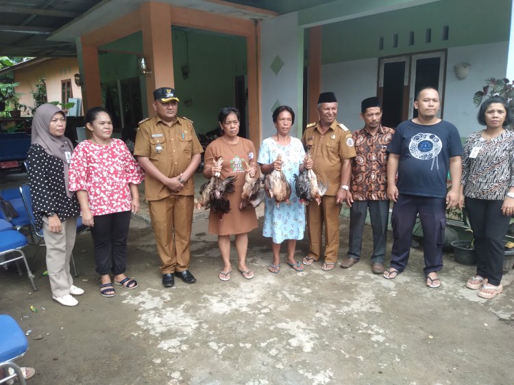 Untuk Ketahanan Pangan, Pemerintah Desa Mela II Salurkan ternak Babi, Ayam dan Bibit Cabe